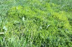 IMG_0506.jpg
