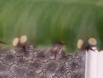 20130501_151435.jpg