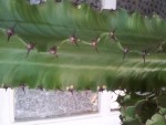 20130501_151426.jpg