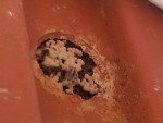 20130503_160355.jpg