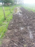 zjardinpluie3.jpg
