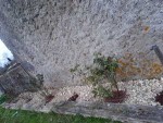 zrosiermur2.jpg