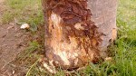 WP_20130504_005.jpg