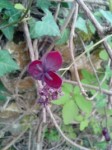 2013-05-05 19.02.21 BIS.jpg