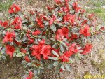 Copie de 07 05 2013.jpg