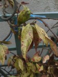 20130508_173158.jpg