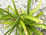 DSCN9586.JPG