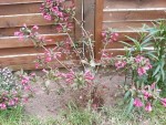 20130510_122428.jpg