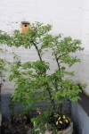 zDSC_6369.jpg