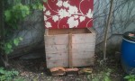 compost