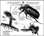 insecte-drone.jpg