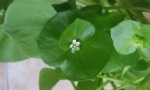 IMAG0433.jpg