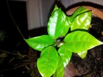 20130513_2222265.jpg