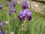 2013-05-07-161.jpg