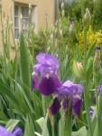 2013-05-07-162.jpg