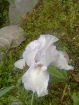 2013-05-09-166.jpg