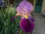 2013-05-13-168.jpg