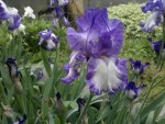 2013-05-13-169.jpg