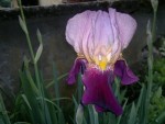 2013-05-13-170.jpg