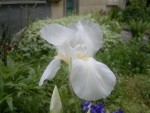 2013-05-13-172.jpg