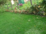 Photo 006.jpg