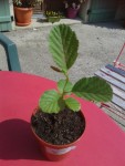 20130518_110247.jpg