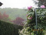 dentelle sous la pluie x.jpg