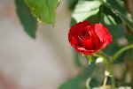 DSC_0030 [800x600].JPG