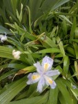 2013-05-19-185.jpg