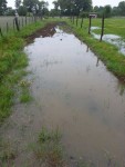 JARDIN3.jpg