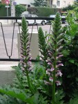 DSCN4341.JPG