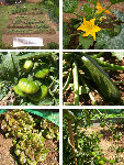 monjardin.jpg