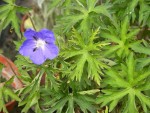 DSCN9658.JPG