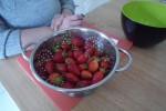 P1060604.JPG