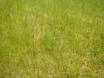 DSCN3451.JPG