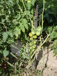 DSC04505.JPG