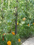 DSC04506.JPG