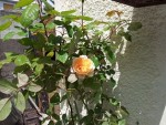 20130527_140136_ret.jpg