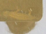 1366741458279.jpg