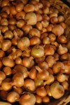 potato-onions-in-basket1.jpg