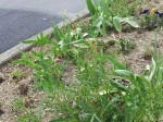 20130527_165323_ret.jpg