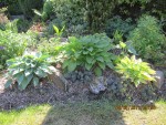 2013-06-02 rocaille x.jpg