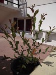 DSCF00791.JPG