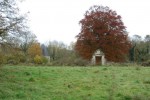 DSC_0085-web.jpg