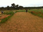 et enfin, rebelote le lendemain et 100m² terminés !