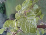 2013-06-09 15.58.38.jpg