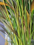 100_5631.JPG