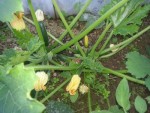 20130614_204651.jpg