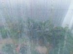 20130614_220841.jpg