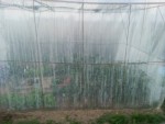 20130614_220850.jpg
